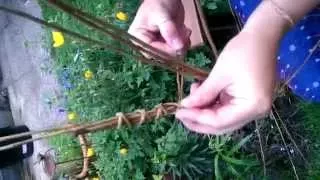 Make your own Willow Dragonfly -  Hanna shows you how to make your own willow dragonfly.