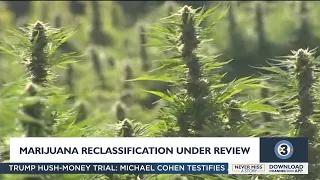 Sen. Agard on reclassification of marijuana