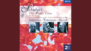 Schubert: Piano Trio No. 2 in E flat, Op. 100 D.929 - 2. Andante con moto