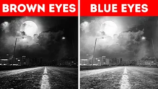 Why Light-Eyed People Have Better Night Vision