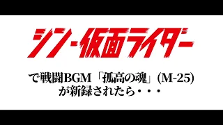 [DTM] シン・仮面ライダーで戦闘BGM「孤高の魂（M-25）」が新録されたら…+オマケ