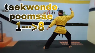 Taekwondo Poomsae 1 - 8