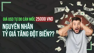 Câu chuyện TỶ GIÁ - Những YẾU TỐ ẢNH HƯỞNG bạn nên biết!?! | Intelligent Money Podcast