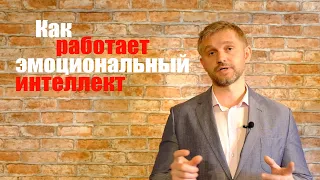 Как работает Эмоциональный Интеллект. Механизм эмоционального реагирования