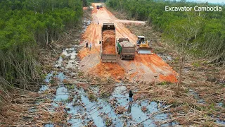 Part 4 Construction Equipment Dump Truck Bulldozer Working Building Foundation New Road Cross Forest