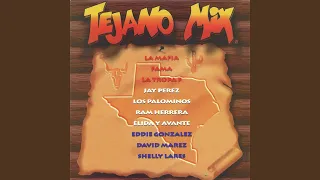 Tejano Mix (Radio Edit)