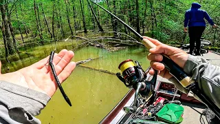 We Searched For Fish All Morning and This Made us MONEY! || Buggs Island Bass Fishing Tournament