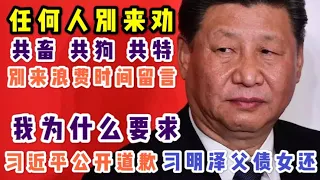 【申明】：我为什么要求习近平公开道歉、习明泽父债女还事件！任何人别来劝！共畜共狗共特别来浪费时间留言。「台北时间2020.8.5 00:30」第04期