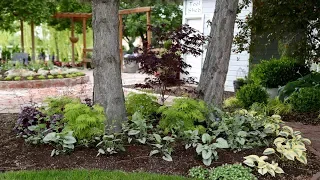 Beautiful Foliage Plants for Part Shade! 🌿⛅️😍// Garden Answer