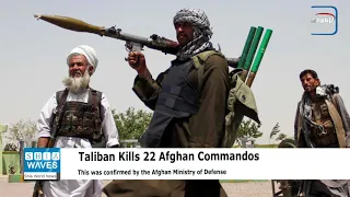 Taliban kills 22 Afghan commandos after they try to surrender