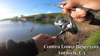 Catching LIGHTNING TROUT at CONTRA LOMA RESERVOIR!!!