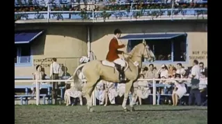 Walt Disney's "The Horse with the Flying Tail" Season 9 Ep 23 (Intro and Credits)