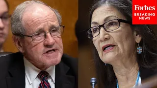 'Just Answer The Question': Risch Bluntly Tells Haaland To Answer His Question On BLM