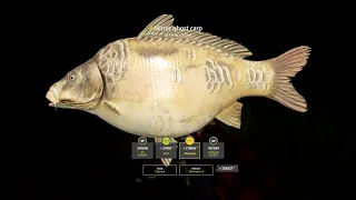 TROPHY MIRROR GHOST IN AMBER LAKE! Russian fishing 4