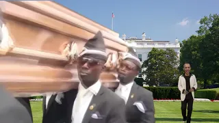 Coffin Dance  by Donald Trump