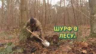 ШУРФ В ЛЕСУ.