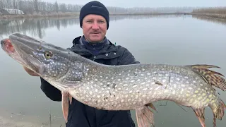 ЯК НАЛОВИТИ БАГАТО ХИЖАКА ВЕСНОЮ. Тестова Рибалка Перед Відкриттям На Печенiзькому Рибгоспi