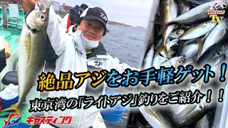 【船釣り入門】絶品アジをお手軽ゲット！東京湾の「ライトアジ」釣りをご紹介！！