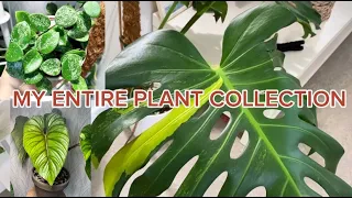 HOUSEPLANT TOUR! My ENTIRE plant collection 2023 | 150+ plants in a smaller apartment