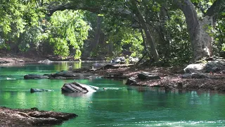 Greensleeves with Flute and Piano  (1 Hour Long, Mother's Day Version)