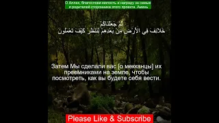 Коран Сура Юнус | 10:14  | Чтение Корана с русским переводом| Quran Translation in Russian