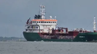 STUNNING CARGO SHIPS! CARGO SHIP SPOTTED ON THE NETHERLANDS!