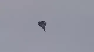 Репетиция МАКС 2017 - пилотаж пары Т-50 ПАК ФА  / MAKS 2017 Rehearsal - PAK FA T-50