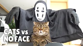 Cats vs No-Face | Kittisaurus