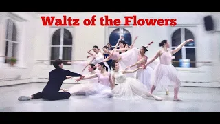 Waltz of the Flowers by Chunner Studio