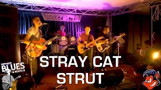 Blues'n'Roots II - The Kathmandu Cats - Stray Cat Strut