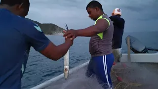 DESCRIPCIÓN DEL ARTE DE PESCA (RED DE ENMALLE)