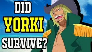 Did YORKI Survive? Rumbar's Former Captain - One Piece Theory | Tekking101