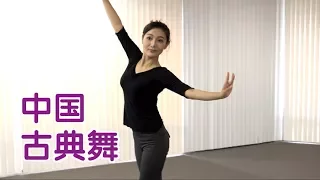 在美国如何学习中国古典舞？|舞蹈教学Chinese Classical Dance