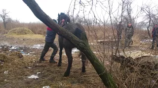 Вован как всегда на коне