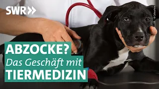 Tiergesundheit als Geschäftsmodell - Profit wichtiger als Tierwohl? | Marktcheck SWR