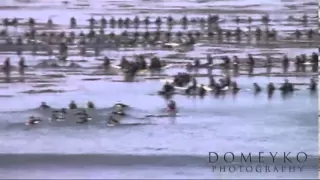 Orignal Funeral Footage Jay Moriarity