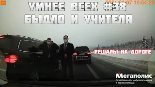 УМНЕЕ ВСЕХ #38. БЫДЛО И УЧИТЕЛЯ НА ДОРОГЕ