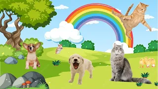 Incrediblecute pets kittens and puppies // Невероятно милые домашние животные котята и щенки.