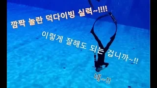 비프리 프리다이버들 덕다이빙 실력~!! " 누가누가 잘하나? ㅋㅋ"