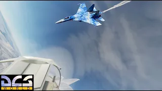 DCS: F-15C vs Su-27 Flanker (Guns only)