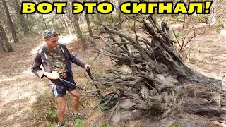 НАШЛИ ЭТО СЛУЧАЙНО! НАХОДКАМ 1500 ЛЕТ! В Поисках Клада от Влада!