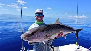 Hooked and Cooked GIANT Amberjack! Catch Clean Cook - Amberjack