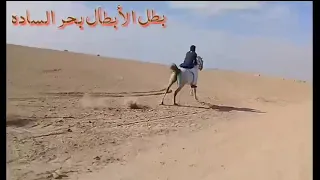 البطل بحر الساده يعد من جديد