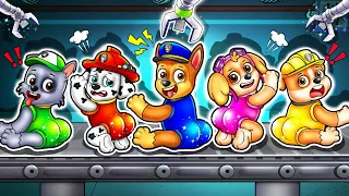 Paw Patrol Brewing Cute Baby Factory - Funny Life Story - Ultimate Rescue | Rainbow Friends 3