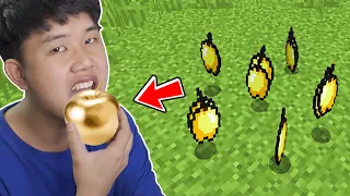 Nếu Người Thật Có Cuộc Sống Trong Minecraft ???