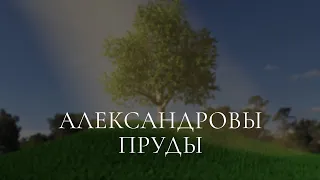 На объекте спустя год | Проект сада "Александровы пруды". Холмы, дренаж, природный сад и пасека