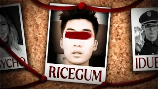 The Disappearance of Ricegum