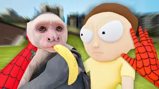 Meymun ve Morty Kavga Ediyor