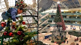 Time-Lapse: Galleria Dallas Christmas Tree is raised and decorated