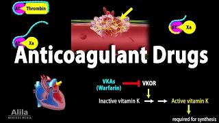 Pharmacology: Anticoagulants, Animation